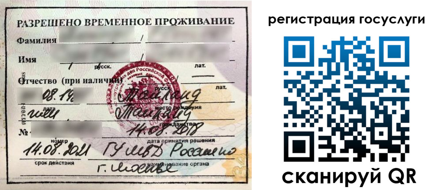 прописка в Луге